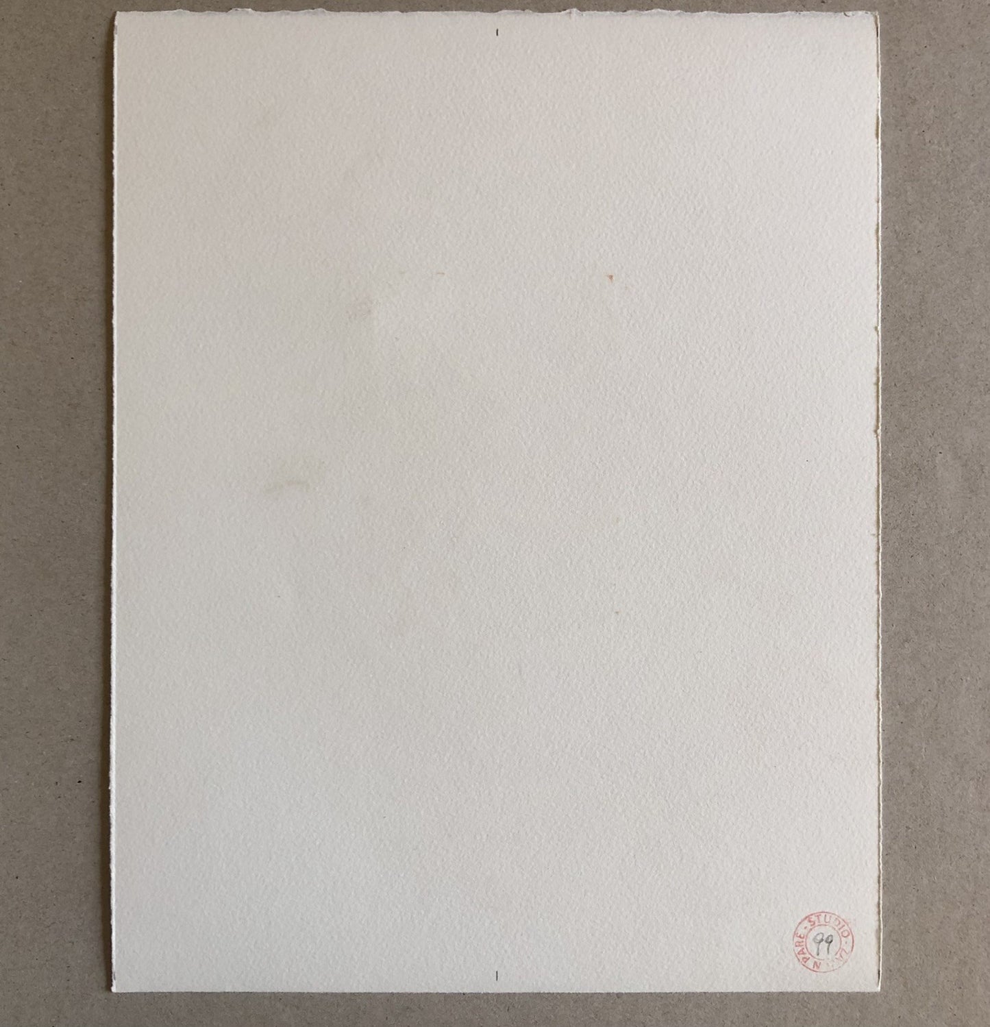 45501255