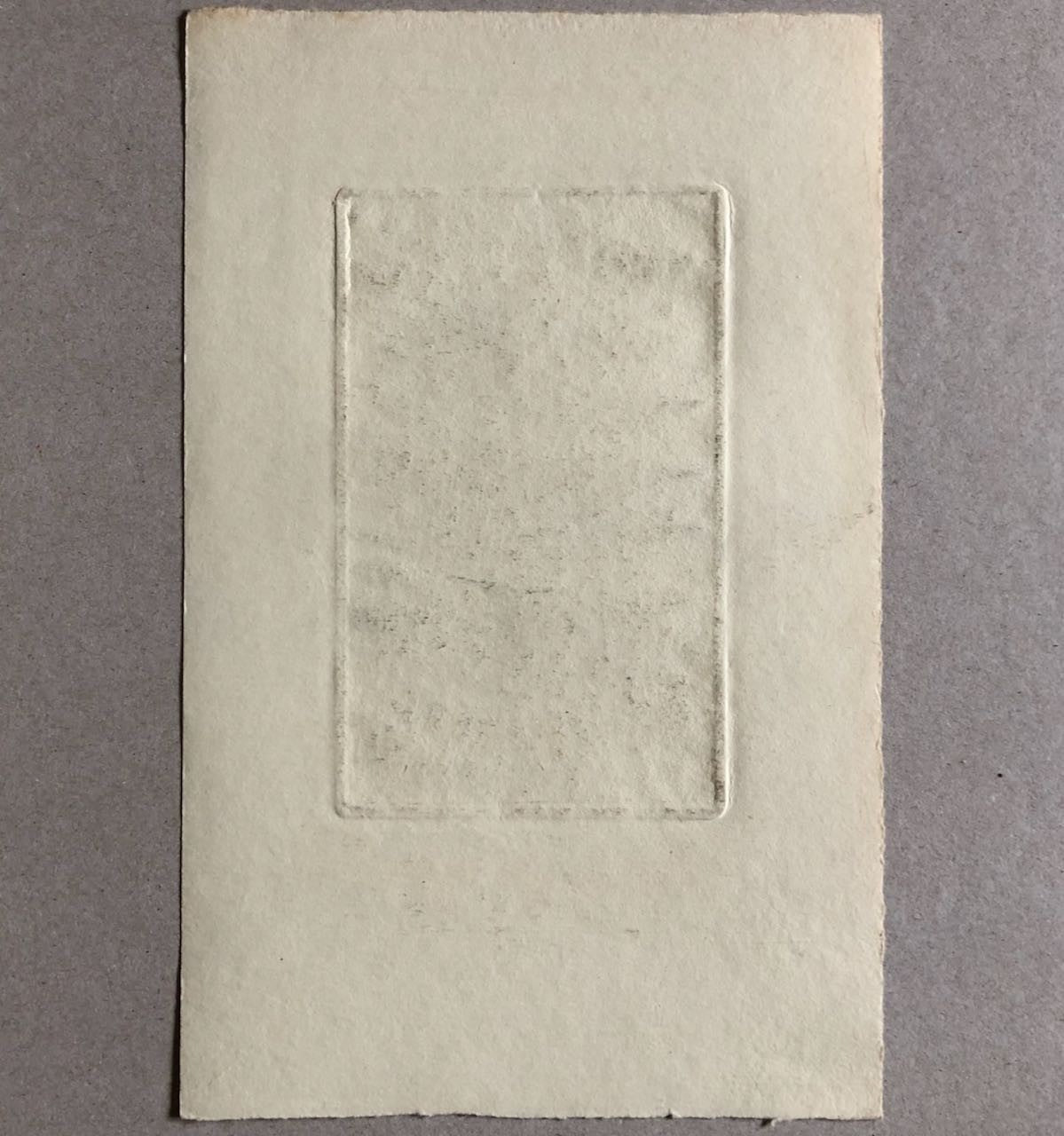 46841453