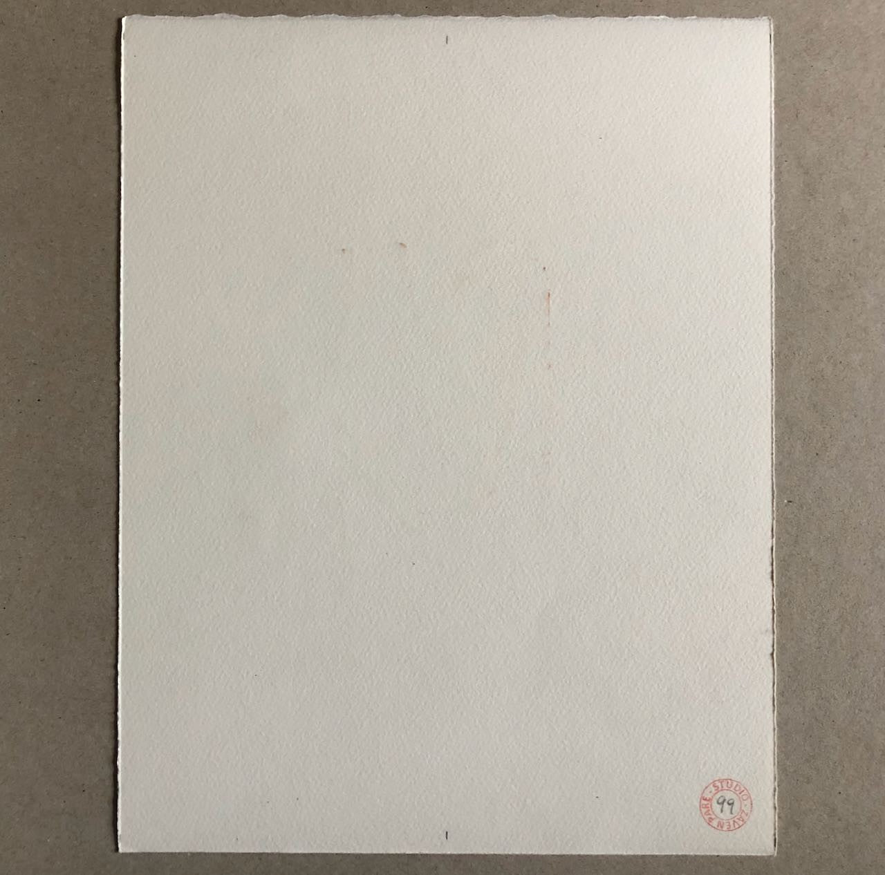 45615406