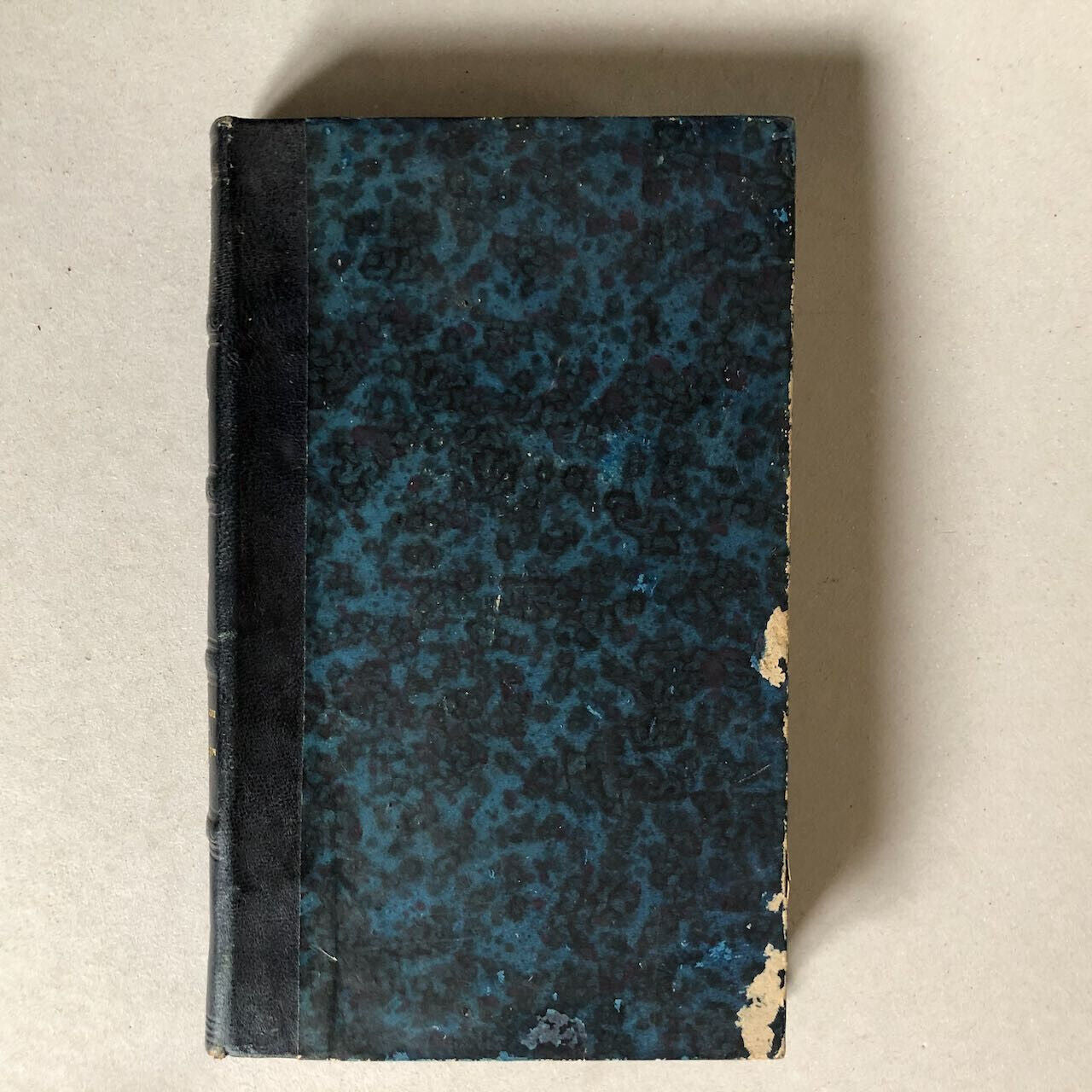 44231037