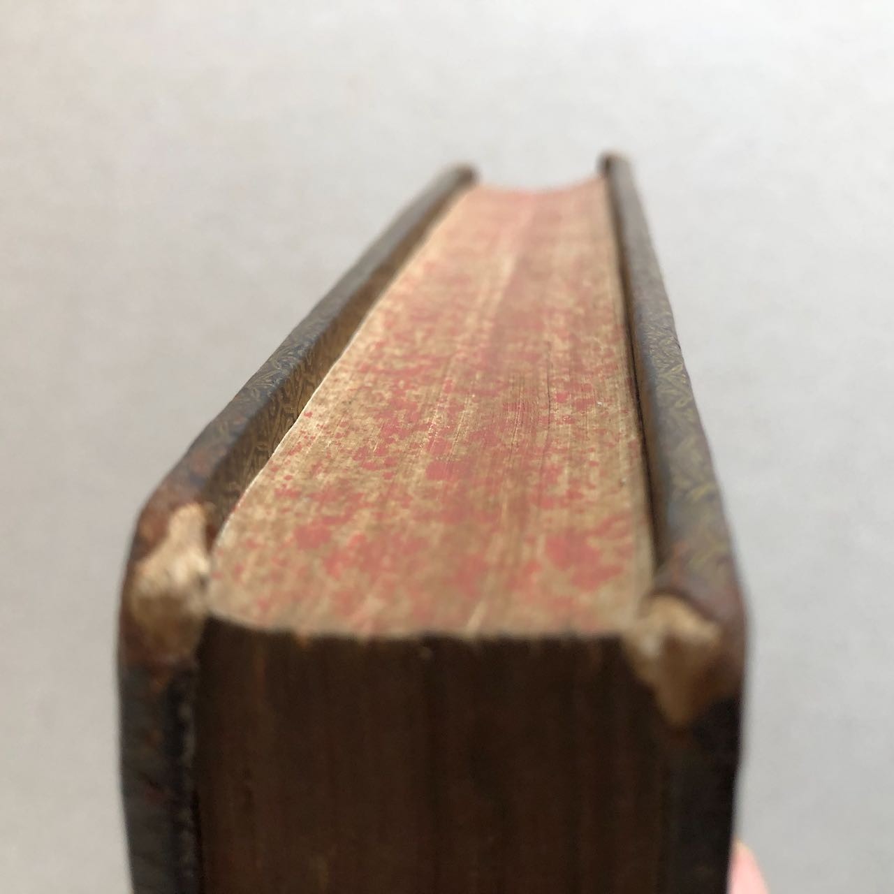 45404752