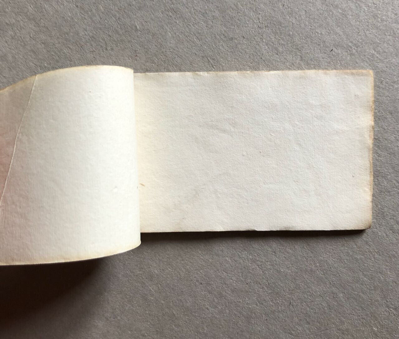 Deux livrets de papier à cigarette XIXe dans un étui de cuir estampé de dorure