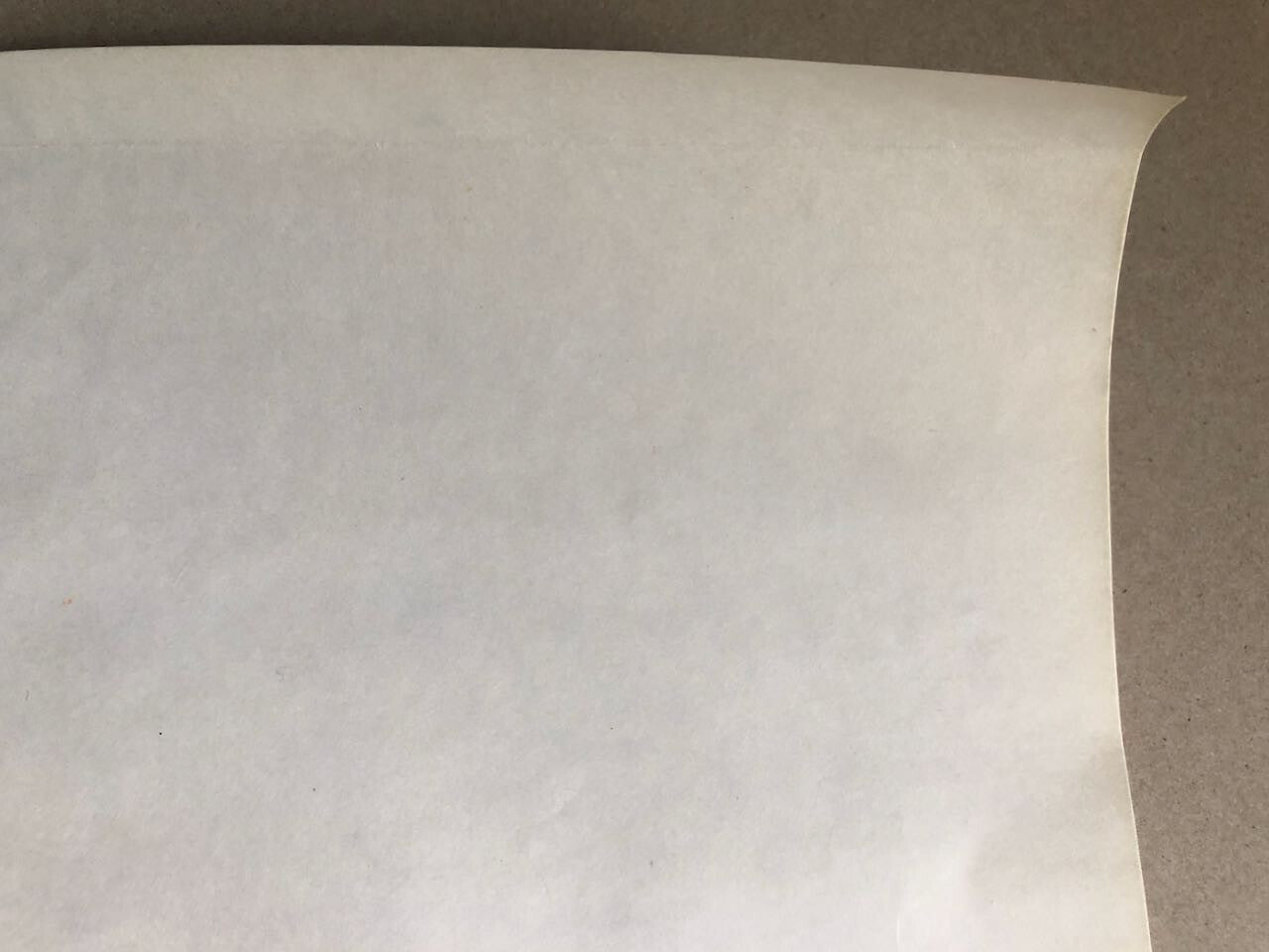 44487229