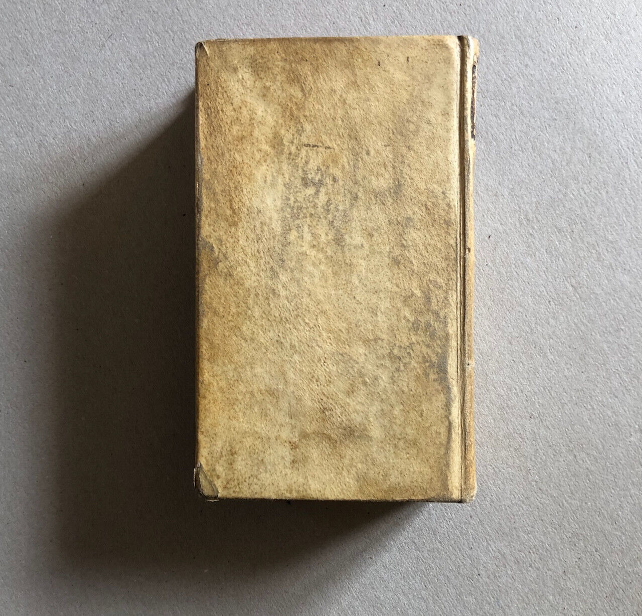 Concile de Trente — Gravure frontispice — Paronium — 1744.