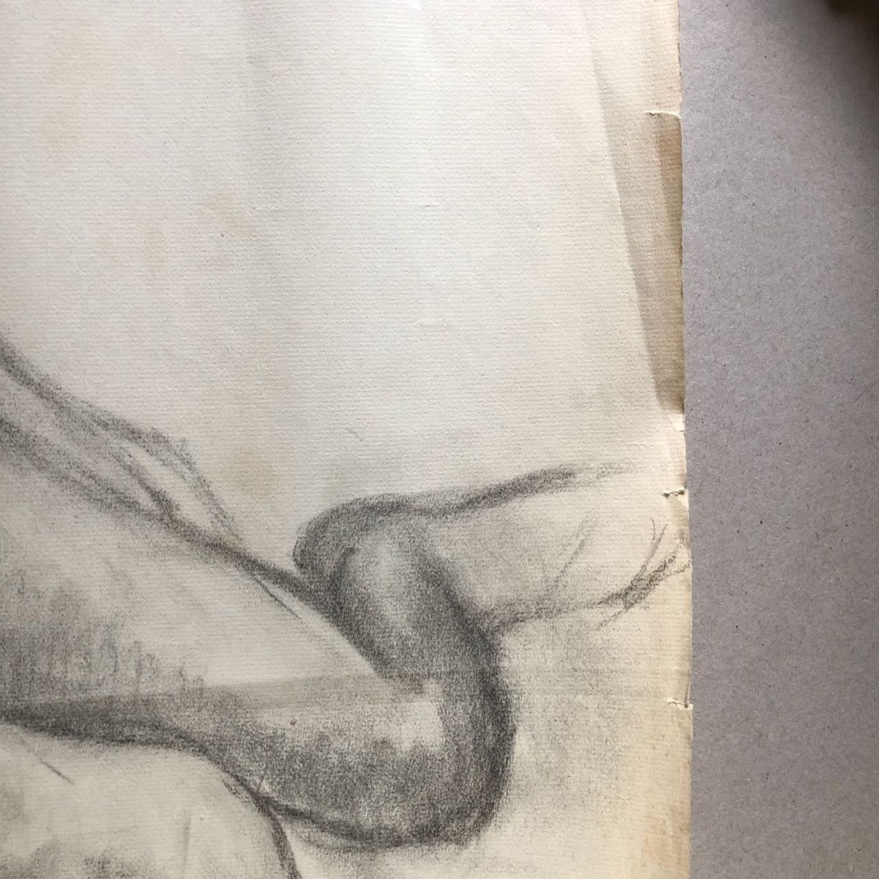 45310903