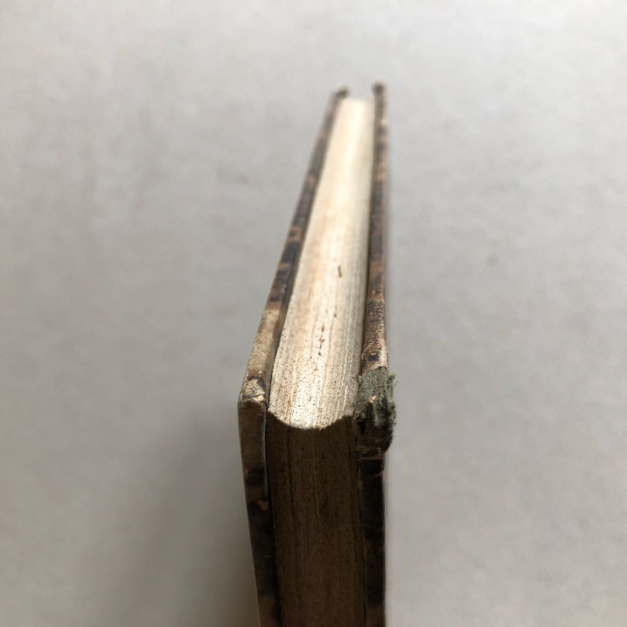 45634328