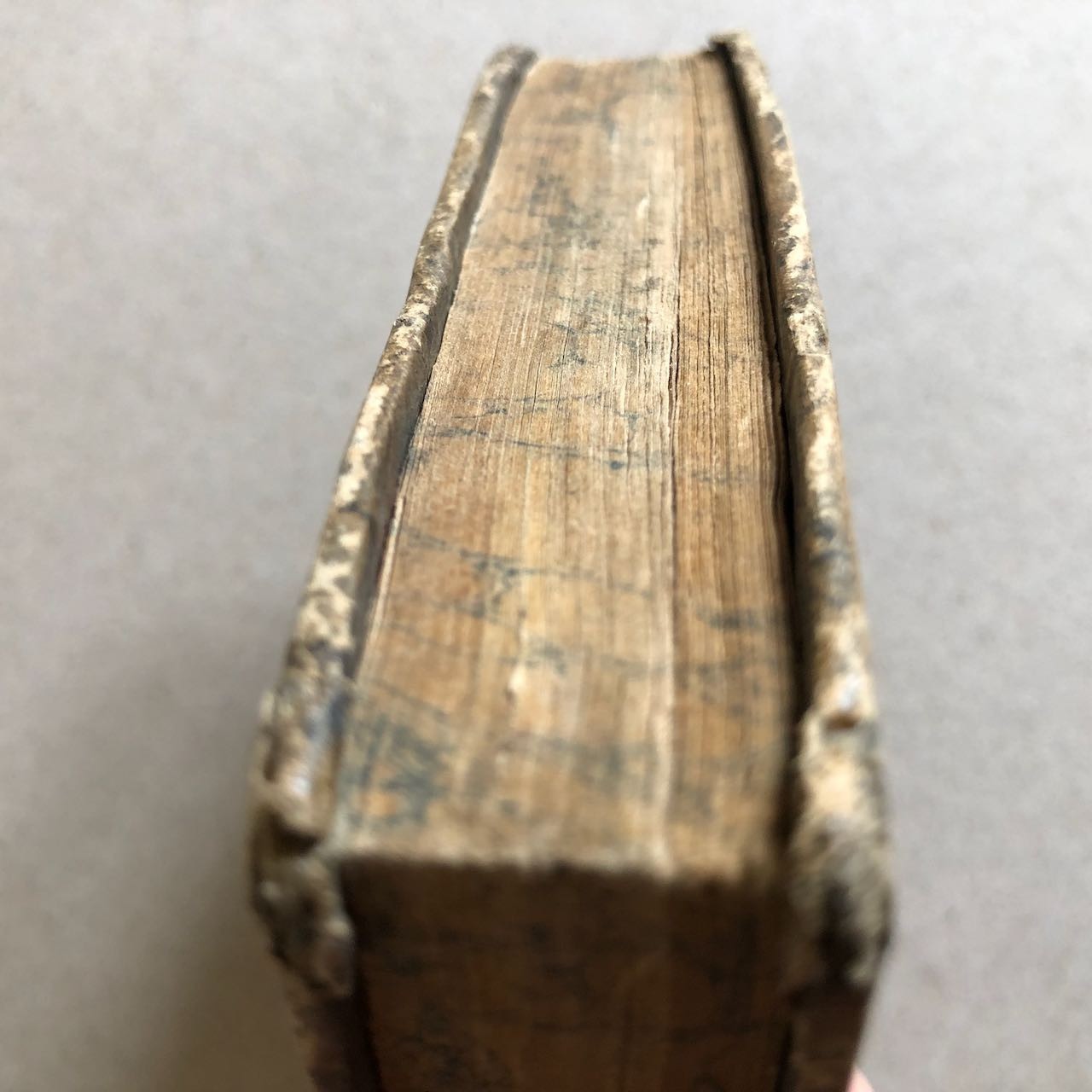 45508799