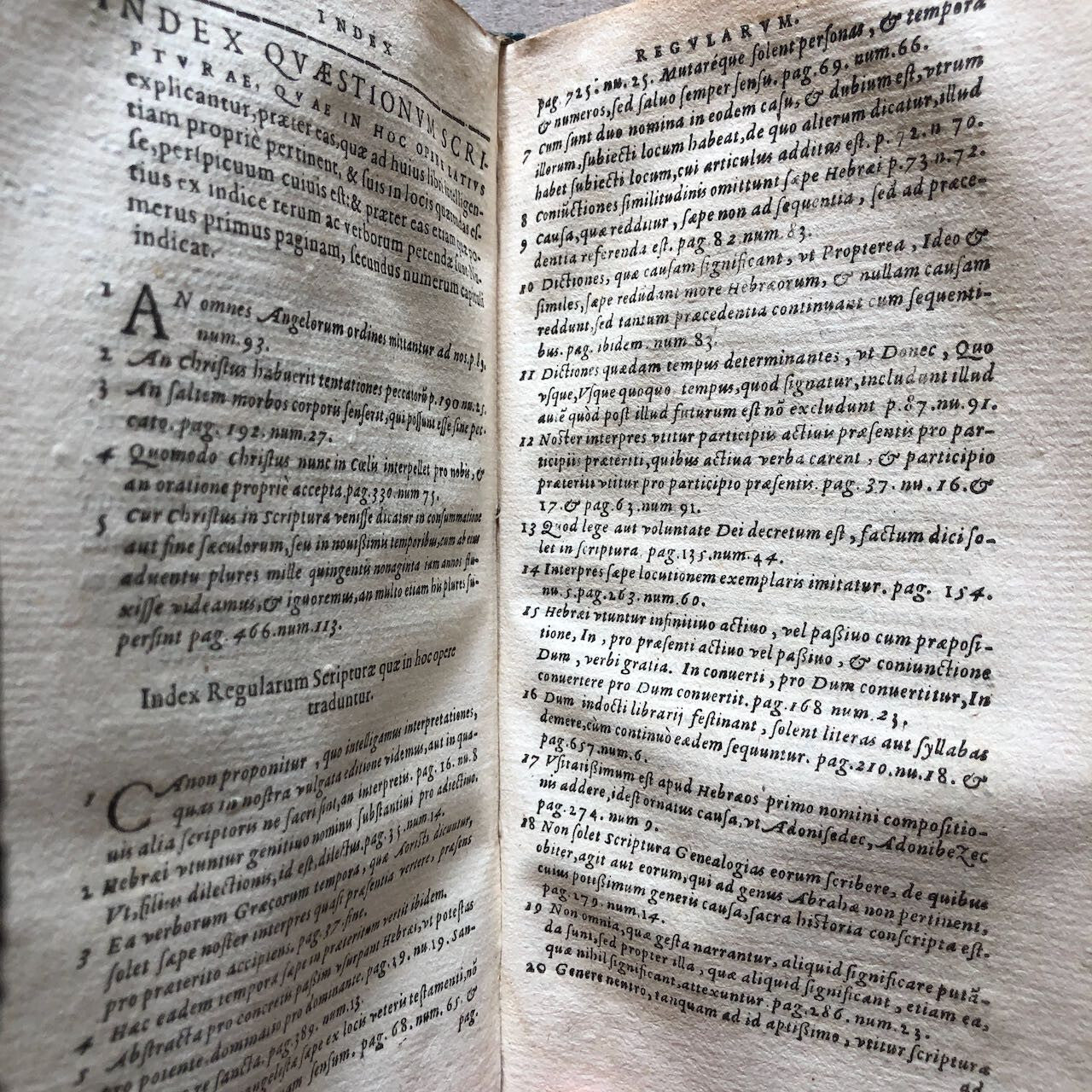 45119234