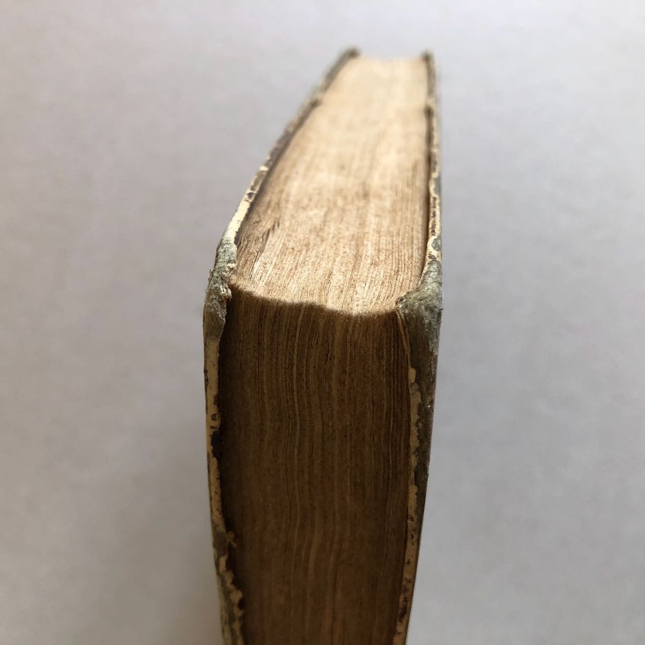 45396384