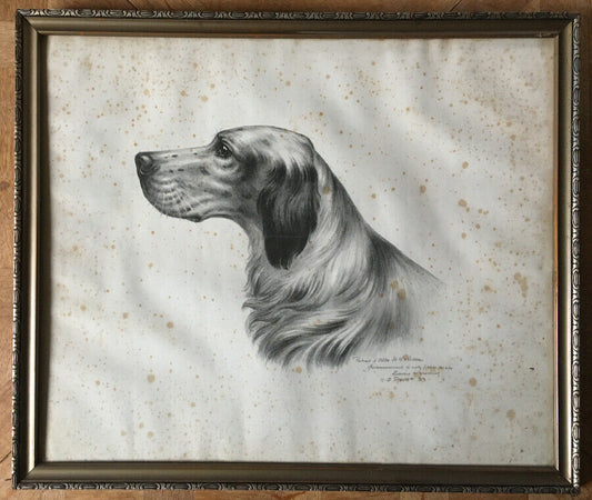 PORTRAIT OF DOG (ALTO DE MELISSA) - LITHOGRAPH COUNTERSIGNED & DATED 1933.