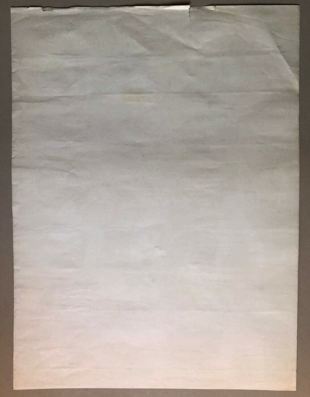 Gotlib — Proud Mary — original poster — 80x60 cm. — Editions du Fromage — c.1980