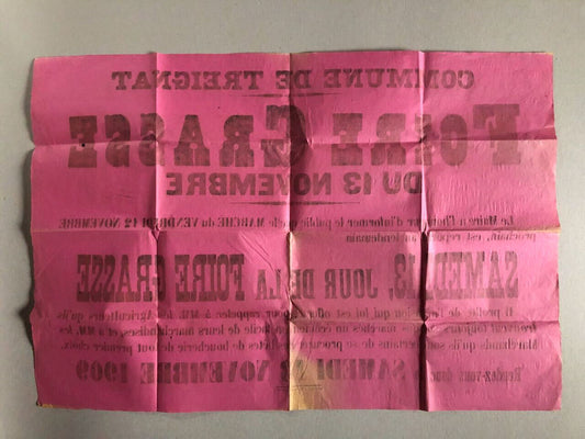 Treignat , Auvergne — Foire grasse — placard publicitaire annonce report — 1909.