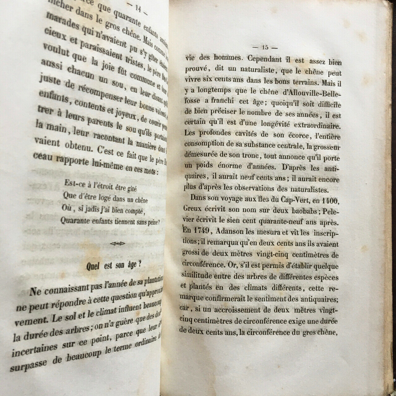 Notice sur le gros chêne d'Allouville ou chêne chapelle (Yvetot) — Mégard — 1856