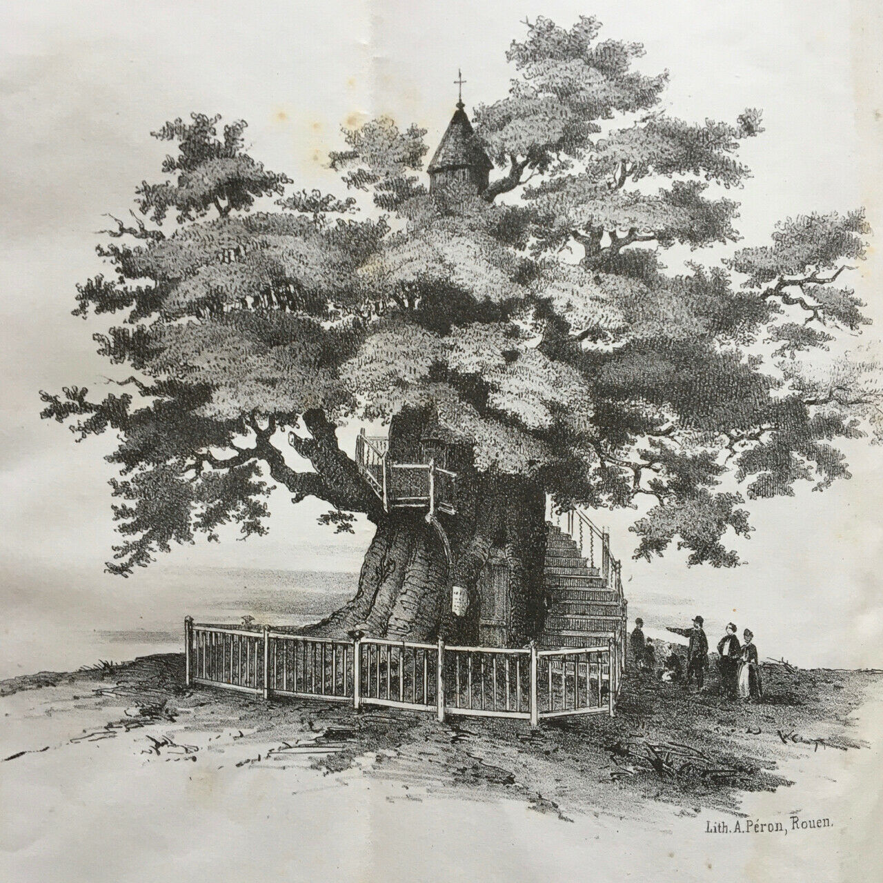 Notice sur le gros chêne d'Allouville ou chêne chapelle (Yvetot) — Mégard — 1856