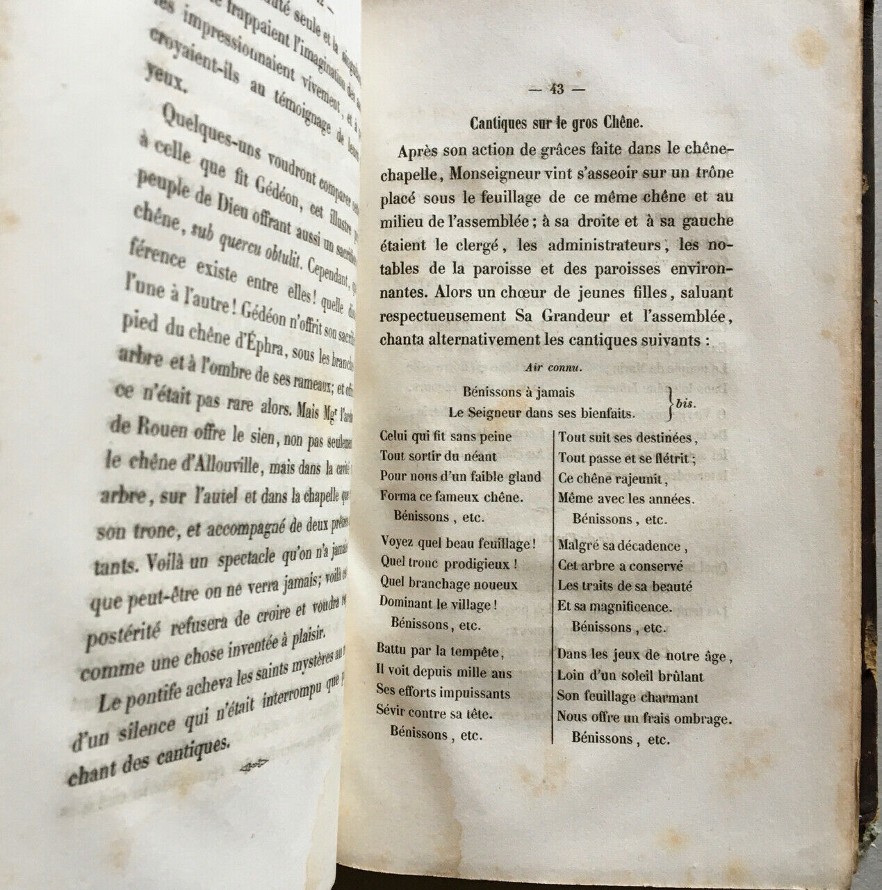 Notice sur le gros chêne d'Allouville ou chêne chapelle (Yvetot) — Mégard — 1856