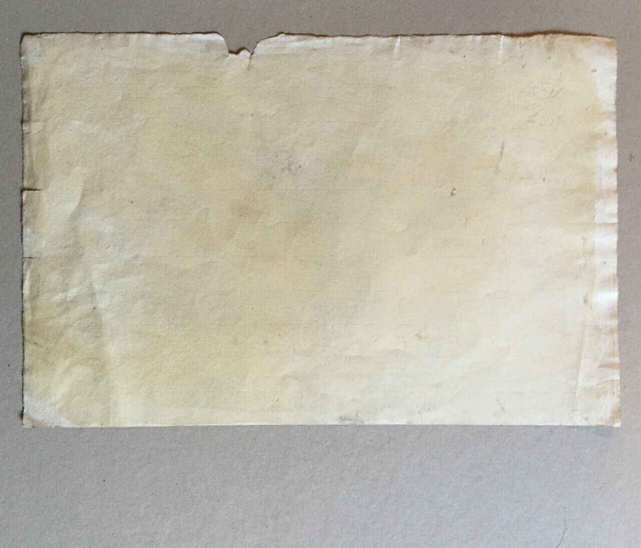 Animated forest landscape — charcoal drawing on Sennelier laid paper — 48x31 cm