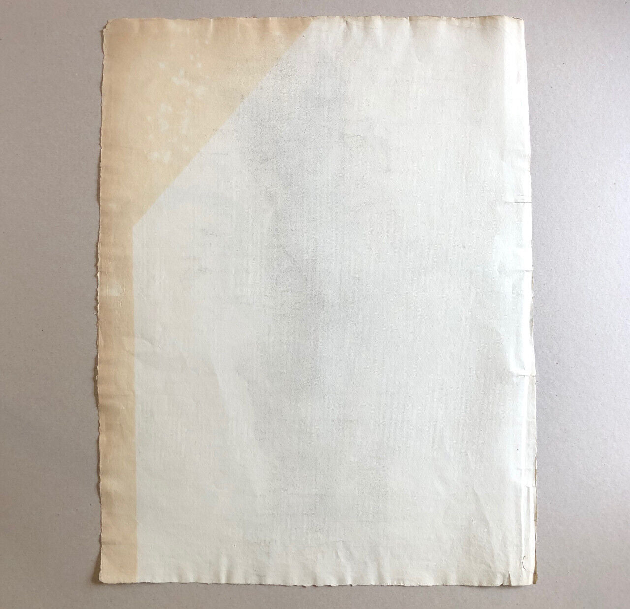 Plante en pot — Aspidistra — fusain sur papier daté 1899 — 62 x 47 cm
