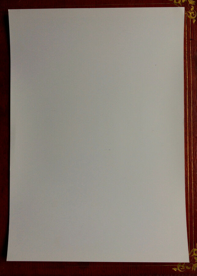 ANGELI PHOTO NEWS AGENCY - CHRISTY TURLINGTON, ED BURNS - PHOTO NUMÉRIQUE 2008