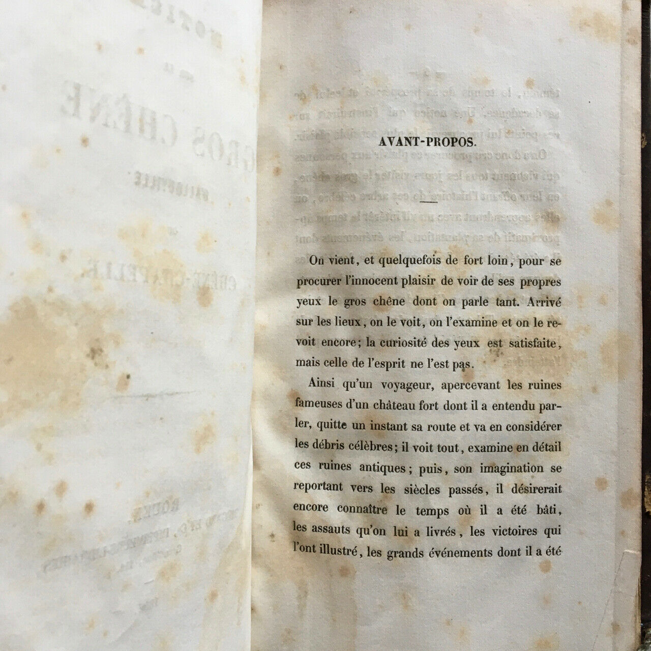 Notice sur le gros chêne d'Allouville ou chêne chapelle (Yvetot) — Mégard — 1856