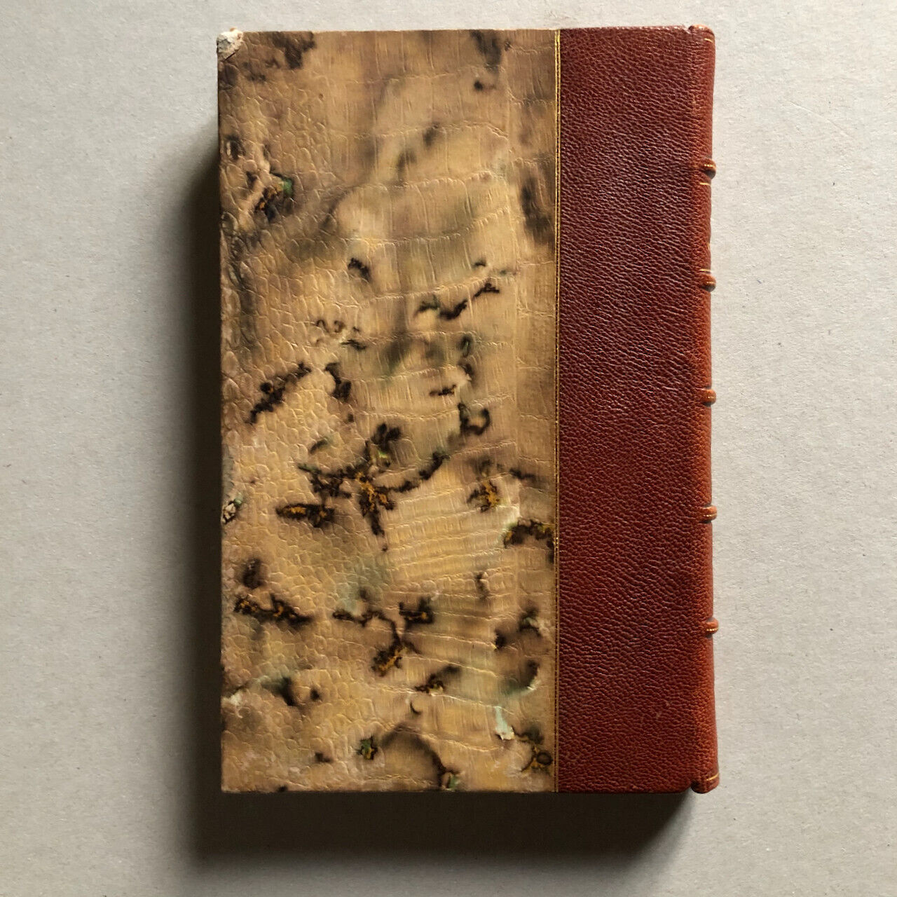 Achas Borin — Contes orientaux — Daniel - La Peau de Léopard… — Quantin — 1886.