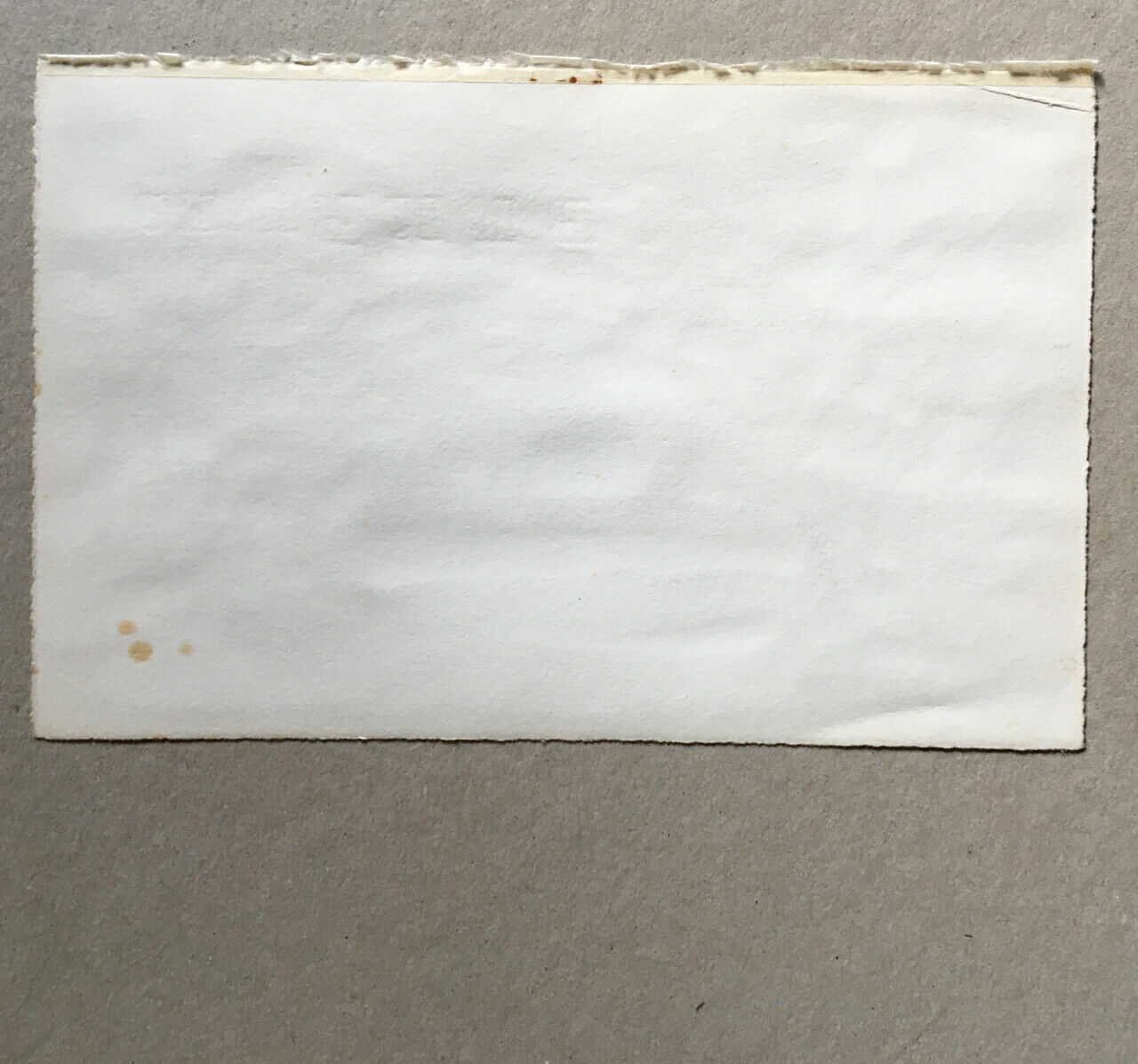 André Fau — woodland landscape — watercolour/paper signed lower right — 1969.