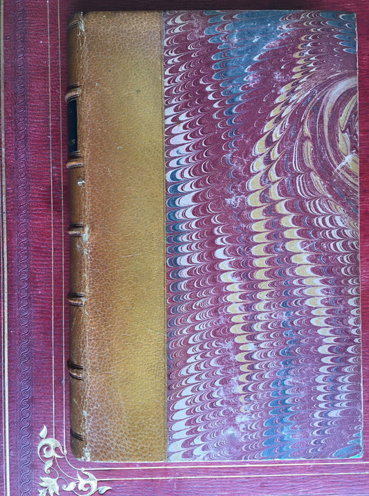 Doctor Jeannel — Prostitution in large cities in the 19th century — É.O. — Bailliere — 1868.