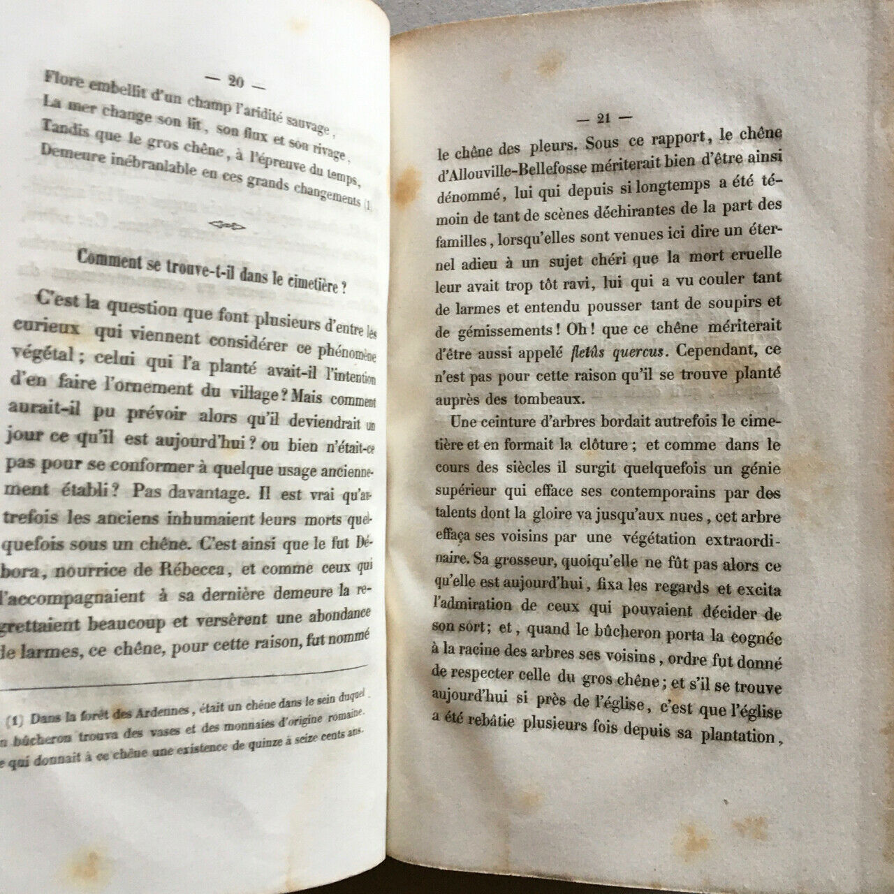 Notice sur le gros chêne d'Allouville ou chêne chapelle (Yvetot) — Mégard — 1856