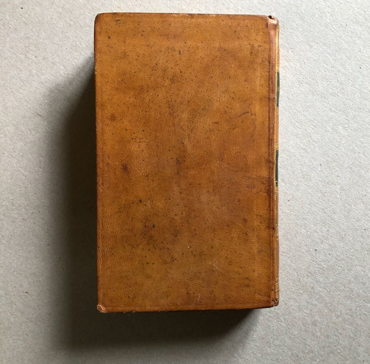 44497605