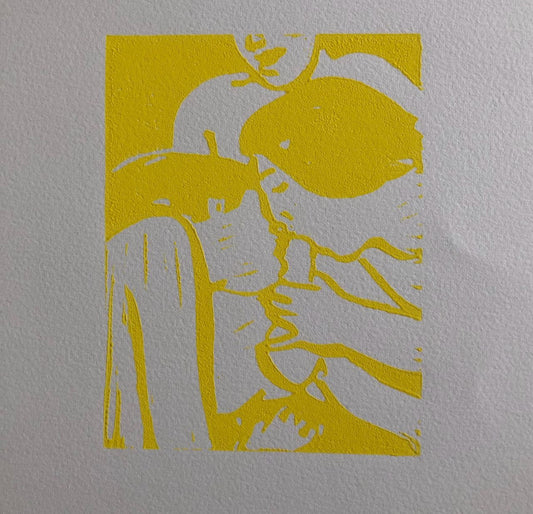 45472319