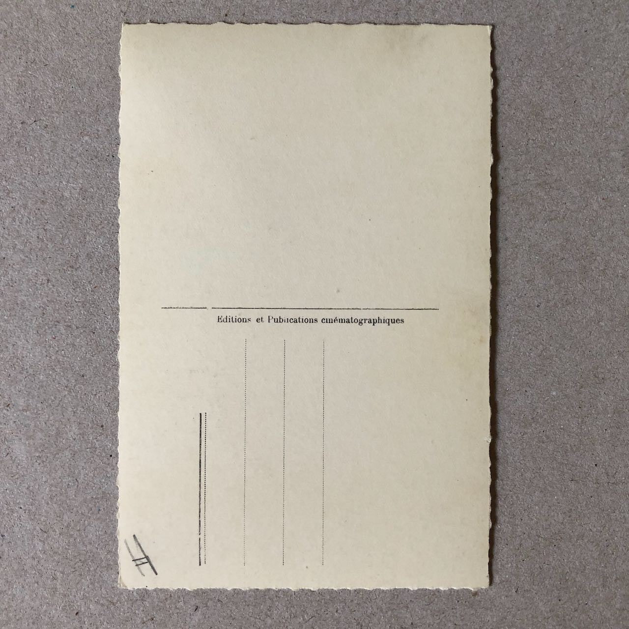 47059459