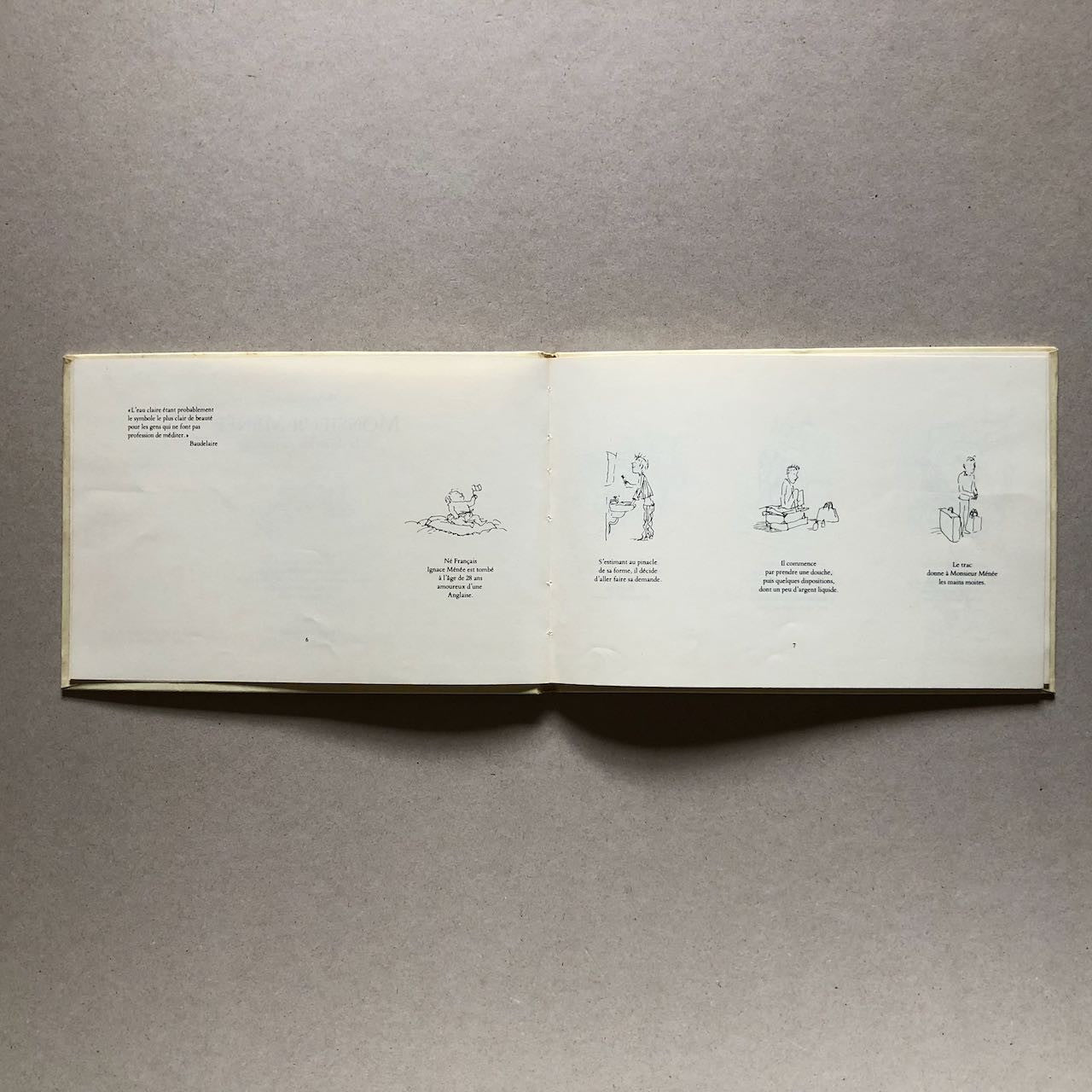 47291906