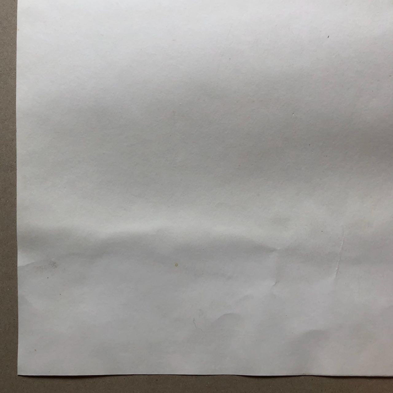 47538306