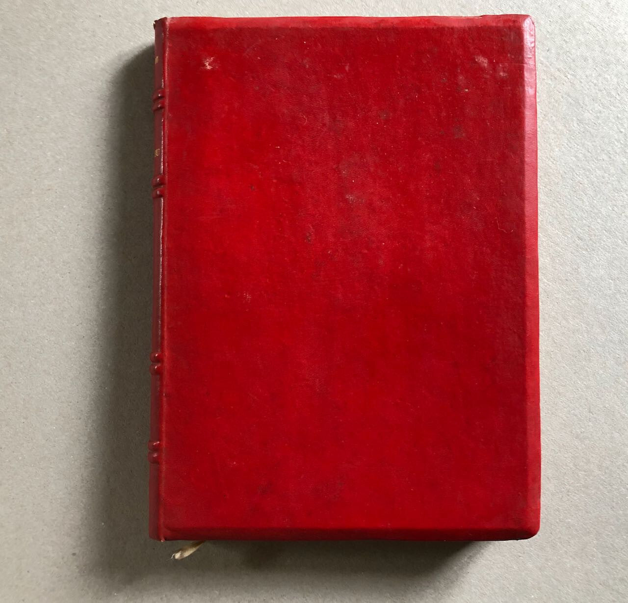 44515242
