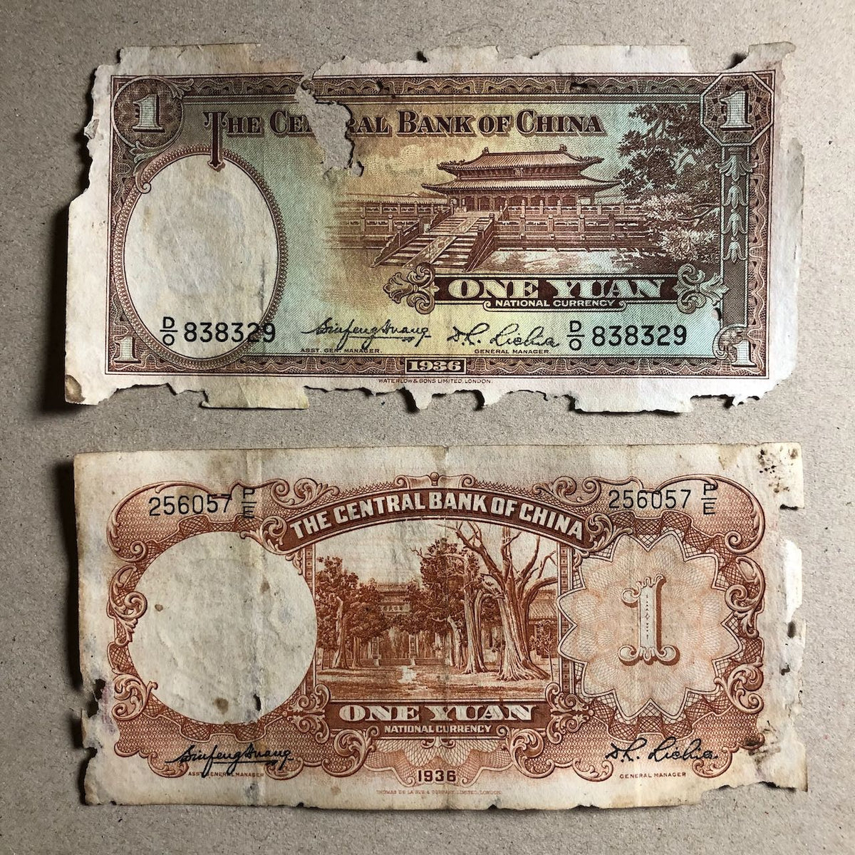 47798136