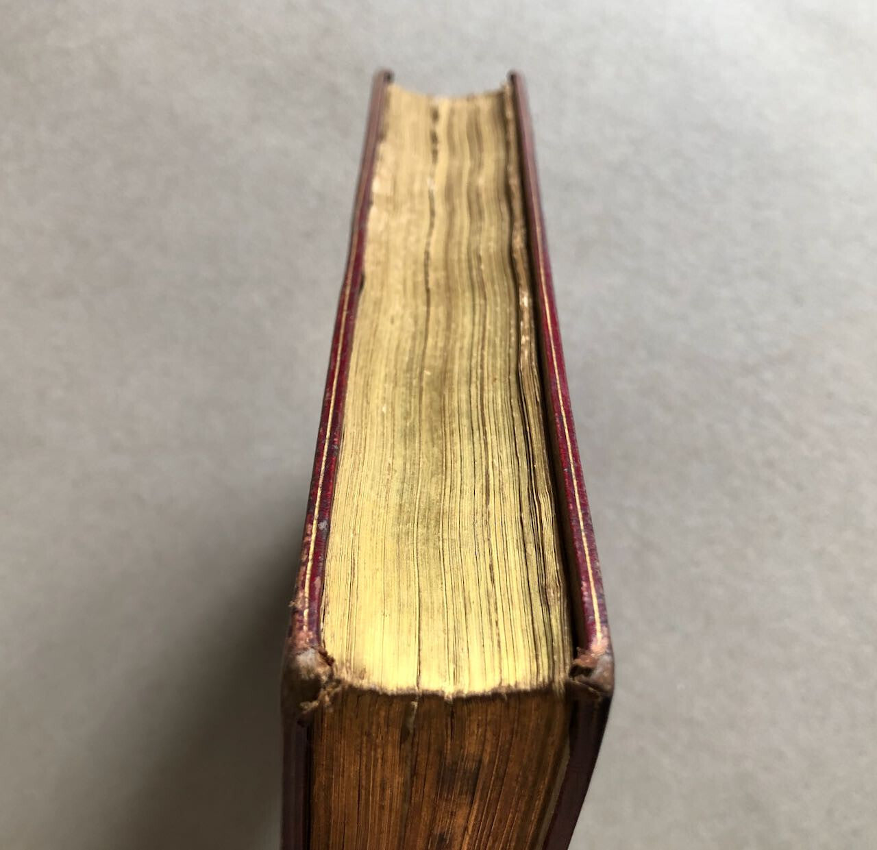 45169863