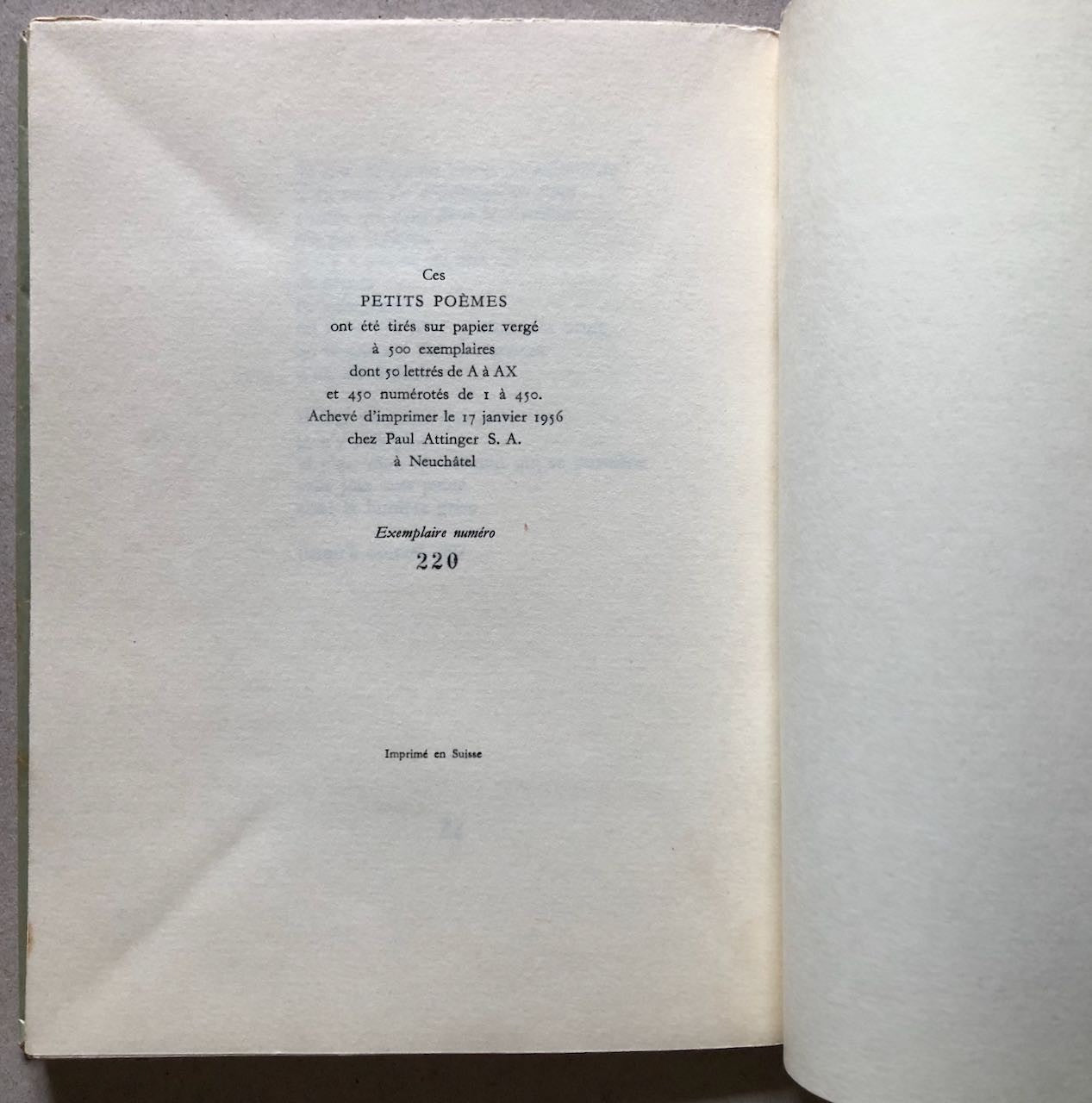 47075062