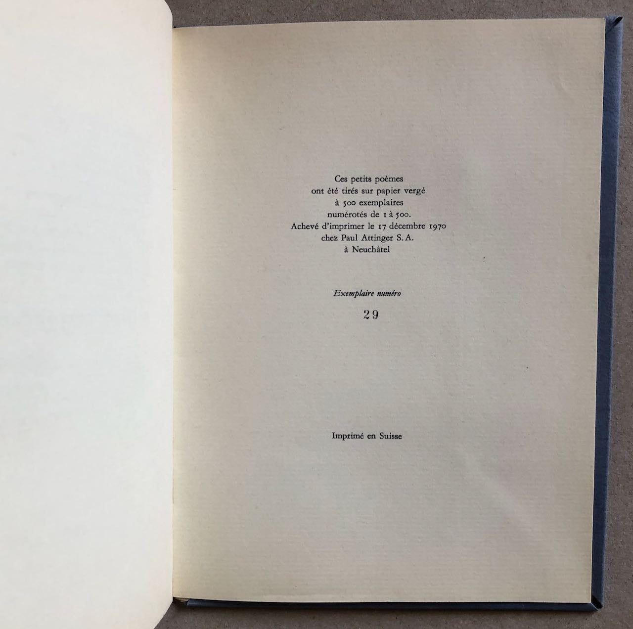 47037555