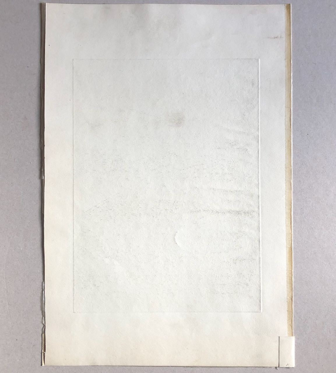 45944902