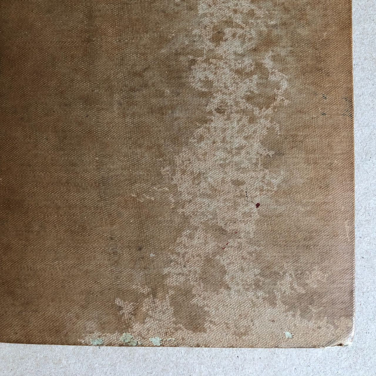 47562528