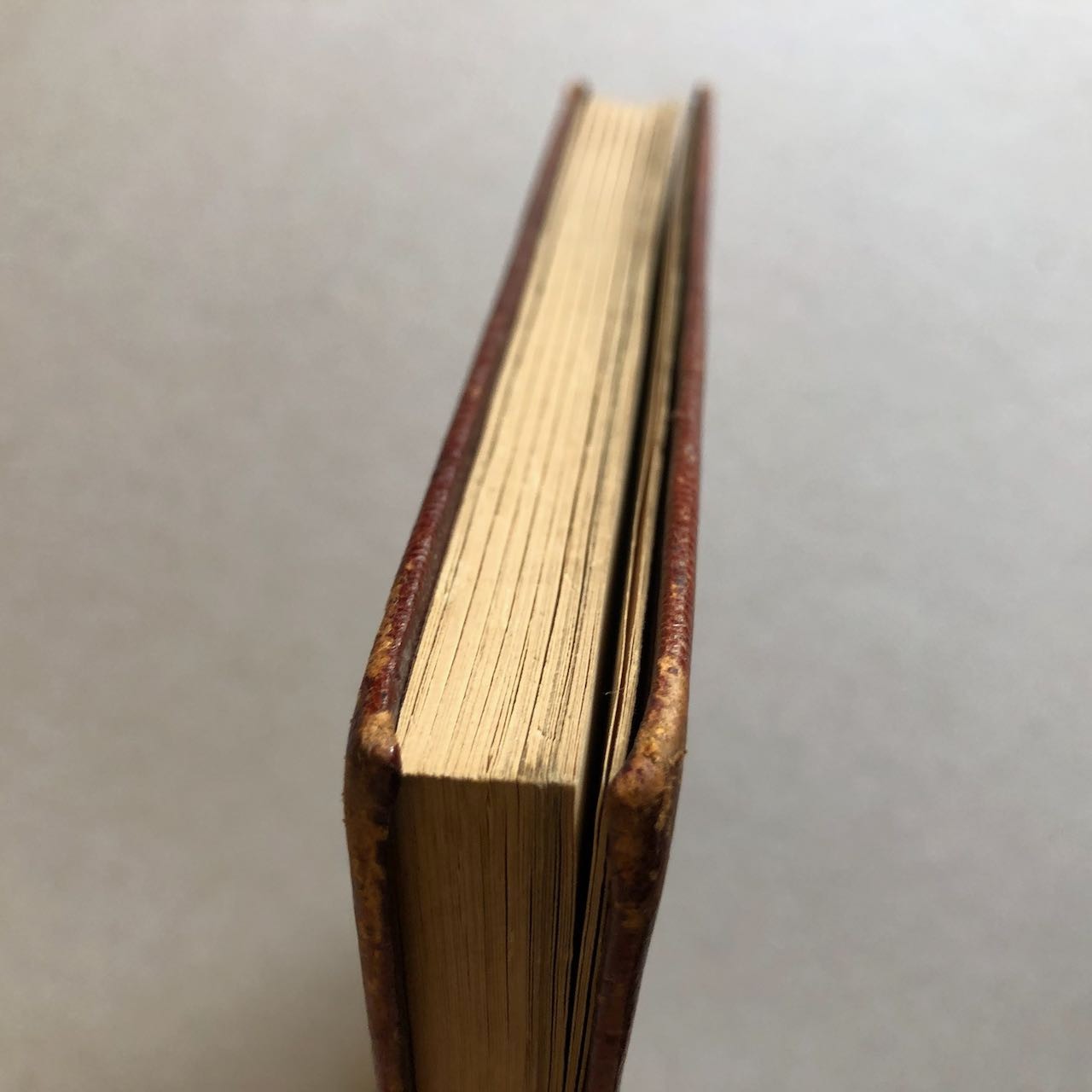 47559920