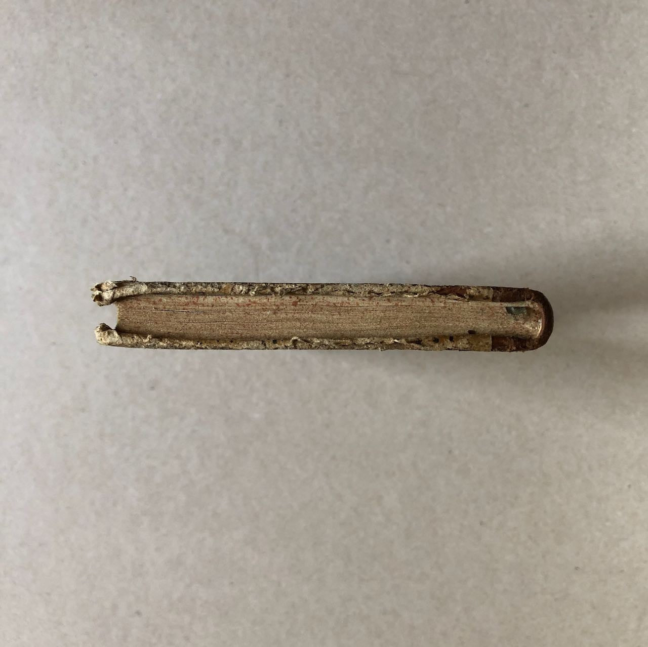 47559918