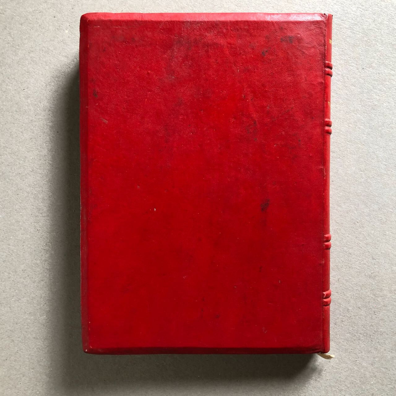 44515242