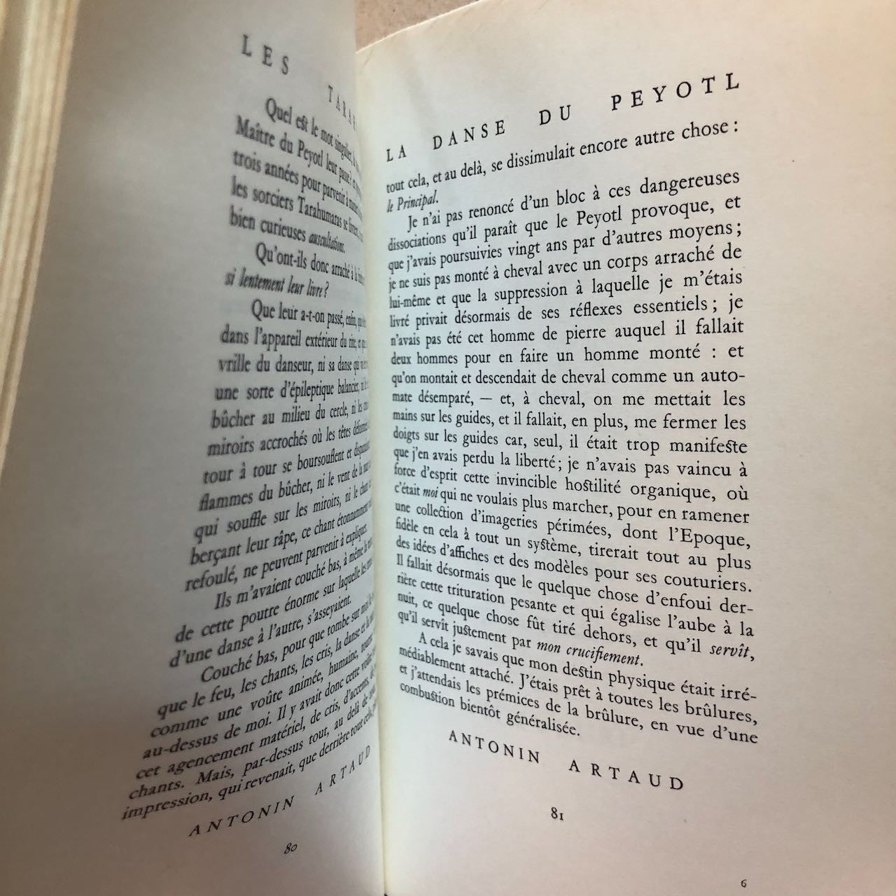 47263751