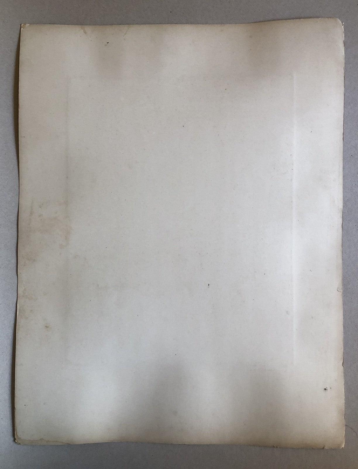 45501273