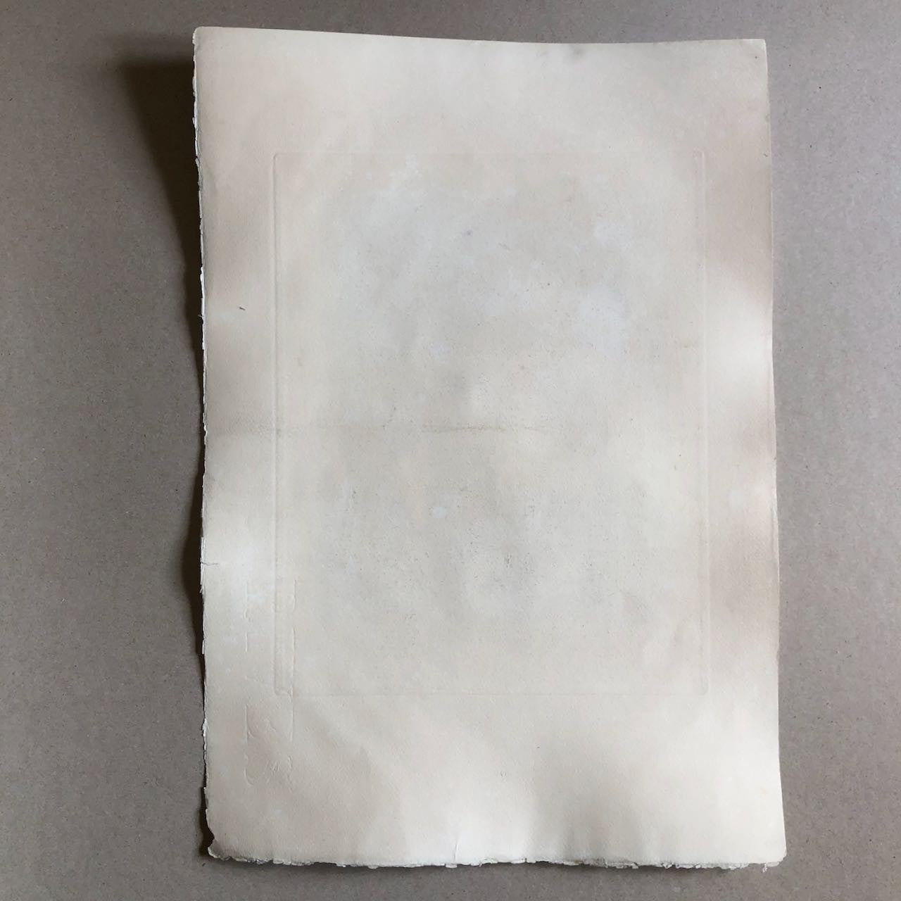 47597444
