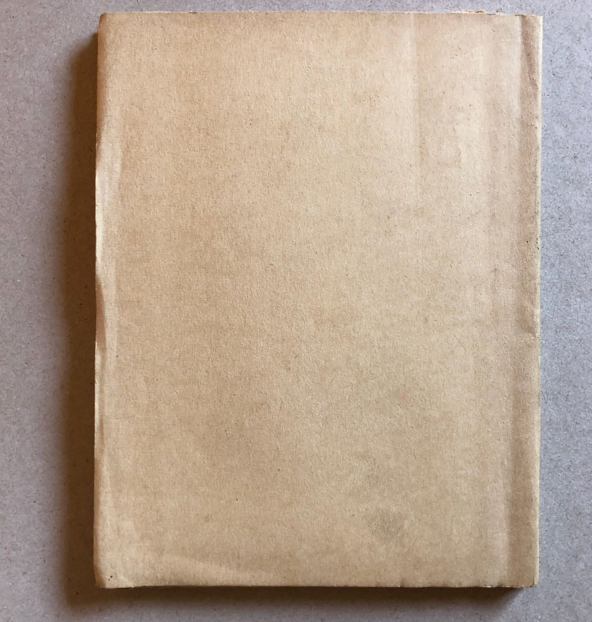 47101733