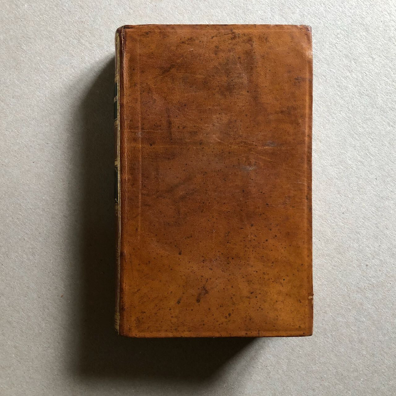 44497605