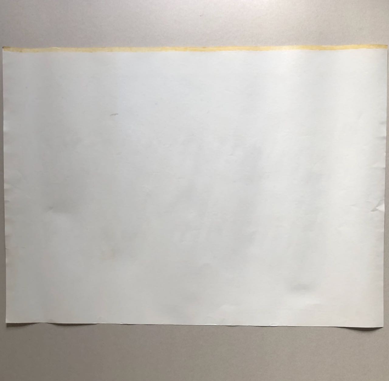 45904967