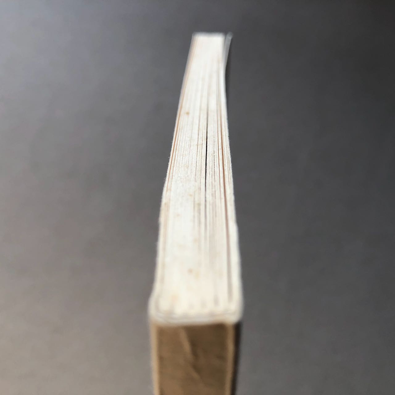 47704604