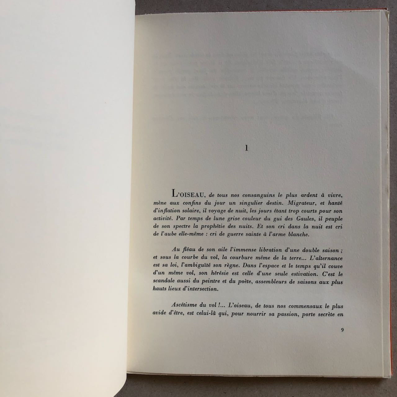 47101731